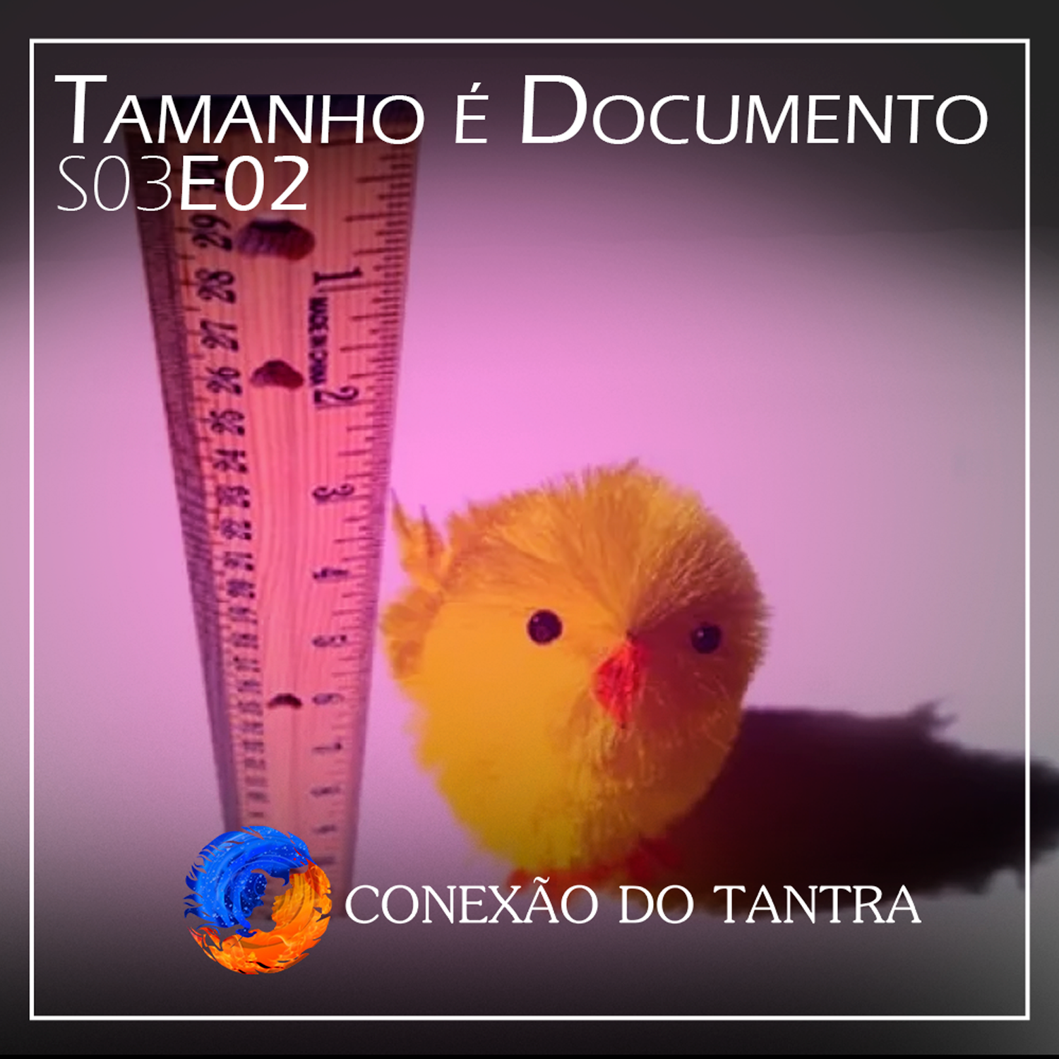Conexão do Tantra